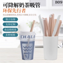 一次性紙質可降解食品吸管