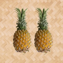 菠蘿