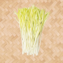 韭黃